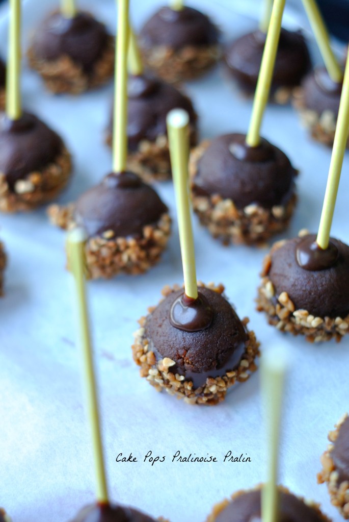 Cake Pops Pralinoise Pralin 1