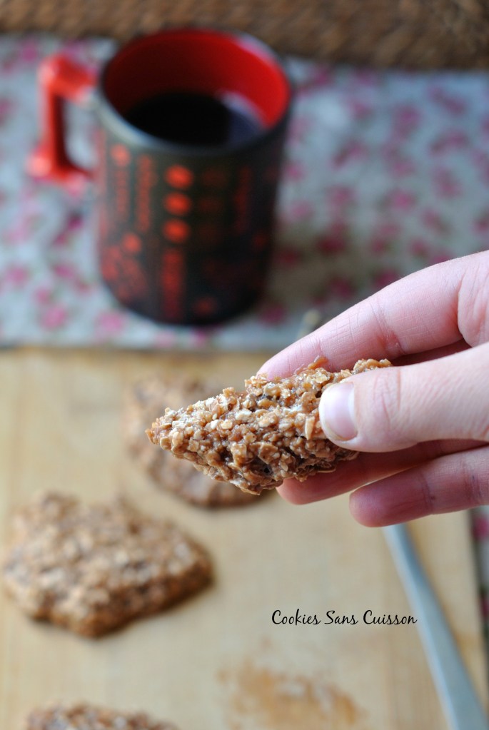 Cookies Sans Cuisson 4