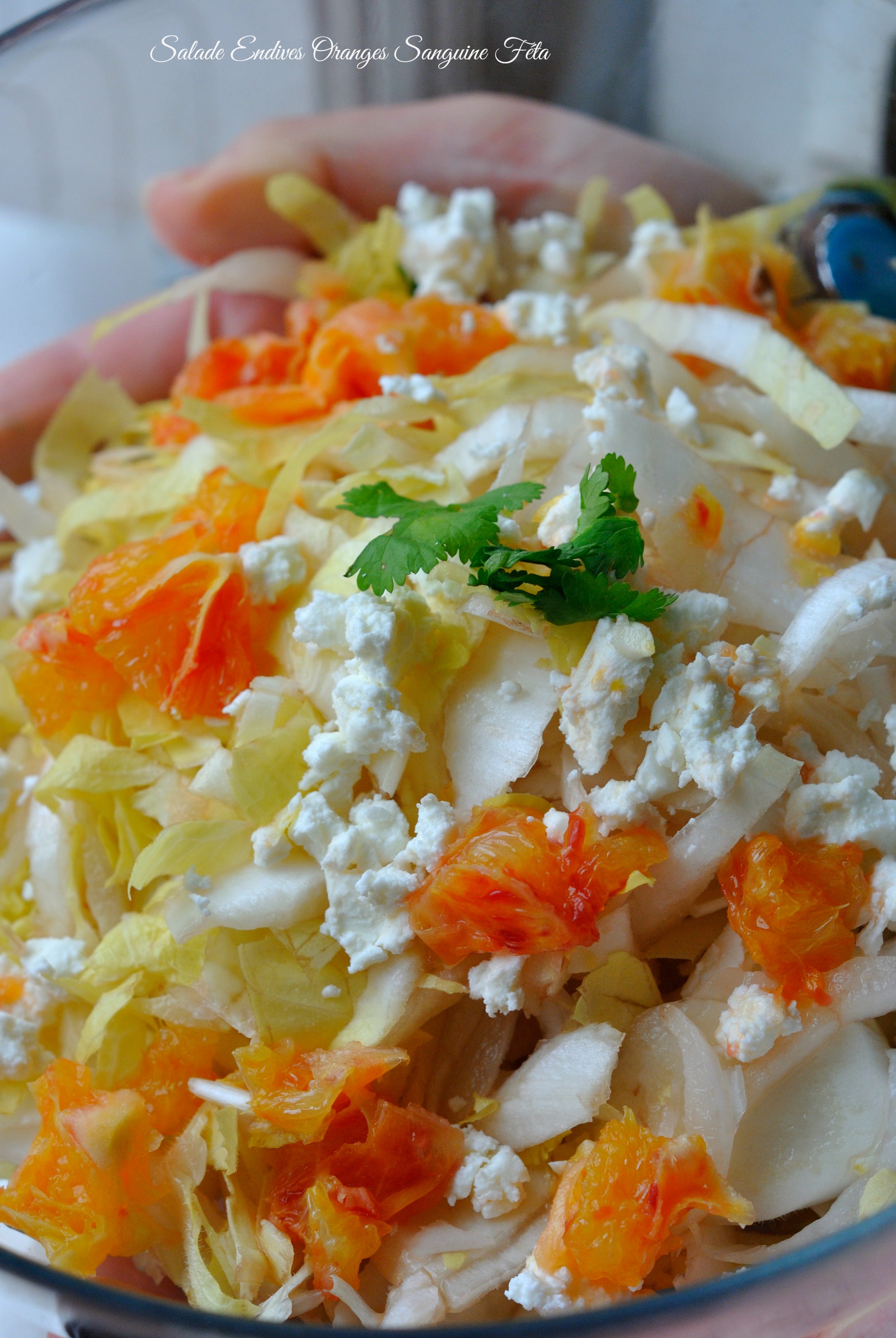 Salade Endives Orange Sanguine Féta 1