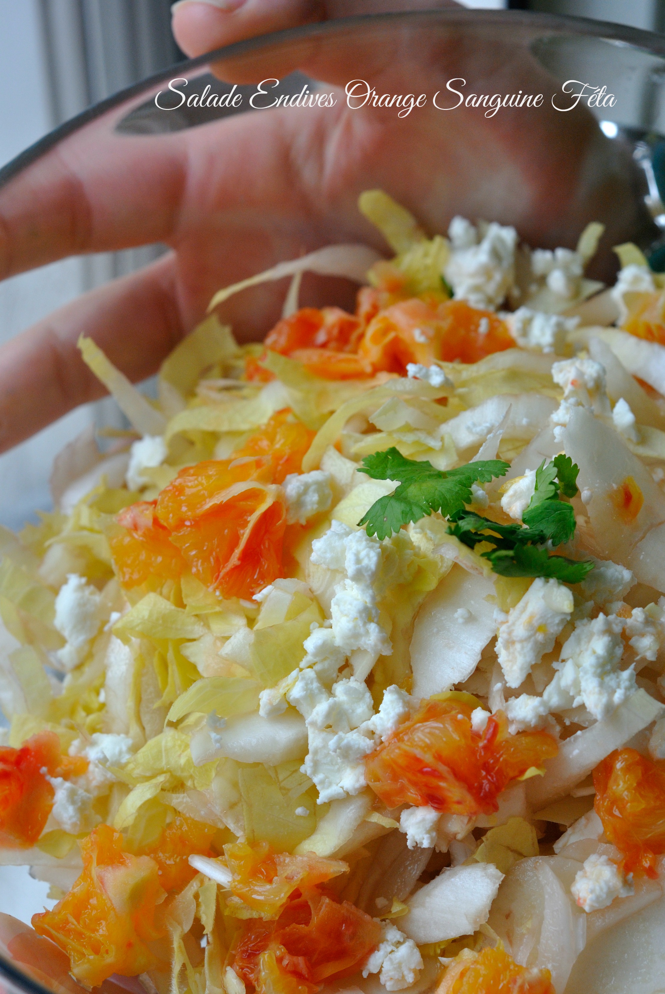 Salade Endives Orange Sanguine Féta 2