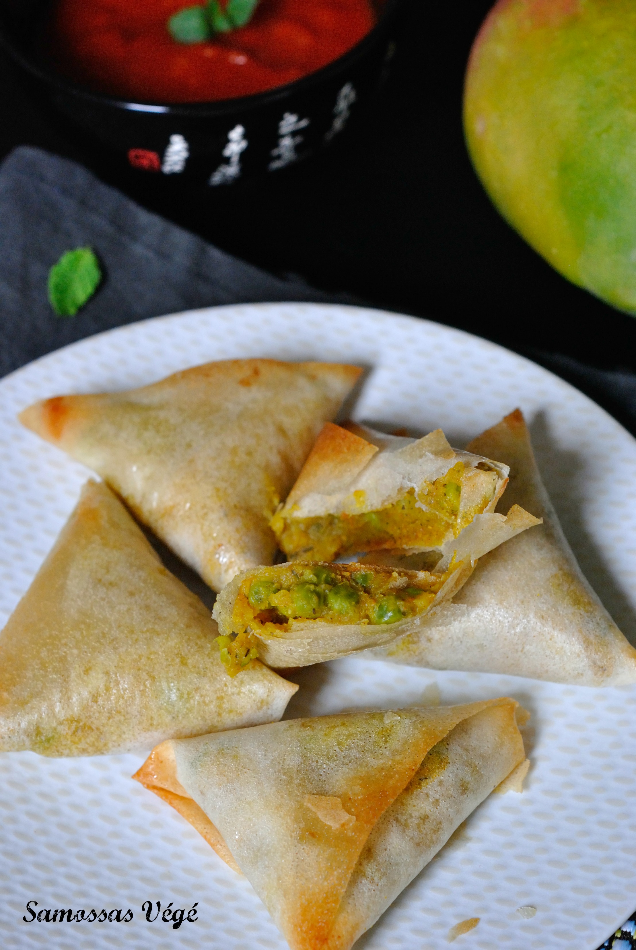 Samossas Végé 3
