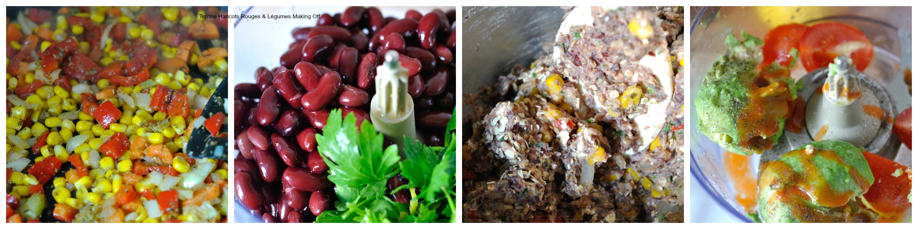 terrine haricots rouges making off