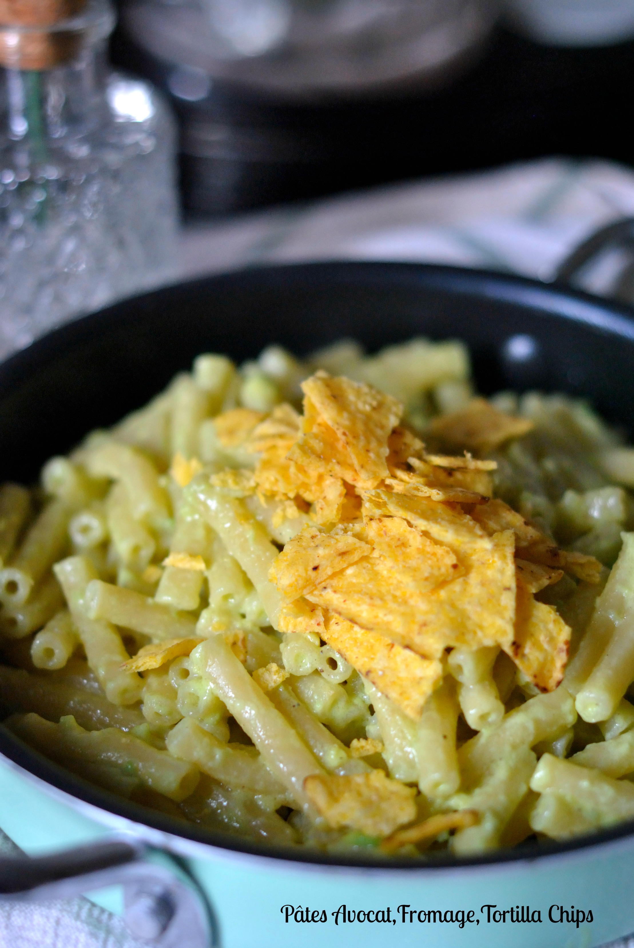 pates-avocat-2